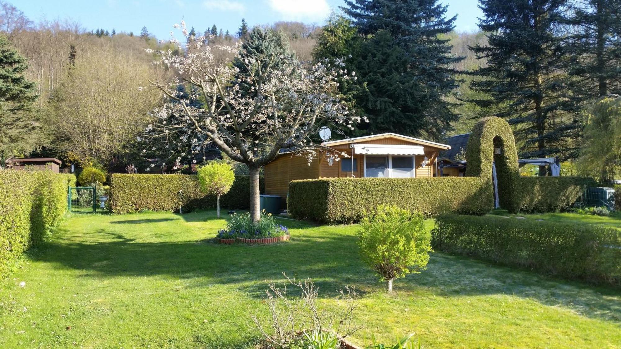 Вилла Poolhaus Im Suedharz Harztor Экстерьер фото